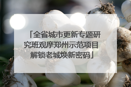 全省城市更新专题研究班观摩郑州示范项目 解锁老城焕新密码