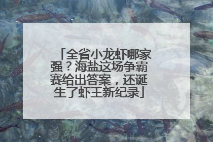 全省小龙虾哪家强？海盐这场争霸赛给出答案，还诞生了虾王新纪录