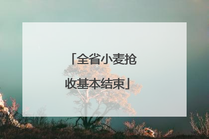 全省小麦抢收基本结束