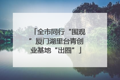全市同行“围观”厦门湖里台青创业基地“出圈”