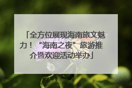 全方位展现海南旅文魅力！“海南之夜”旅游推介暨欢迎活动举办