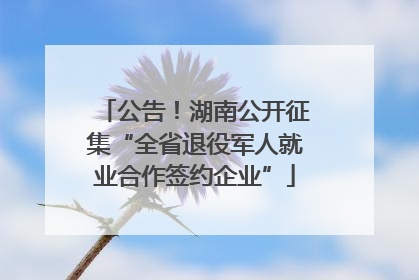 公告！湖南公开征集“全省退役军人就业合作签约企业”