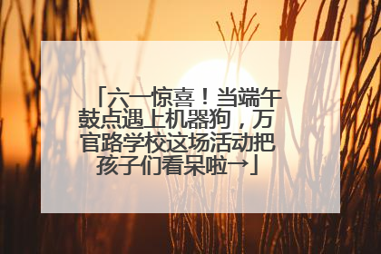 六一惊喜！当端午鼓点遇上机器狗，万官路学校这场活动把孩子们看呆啦→