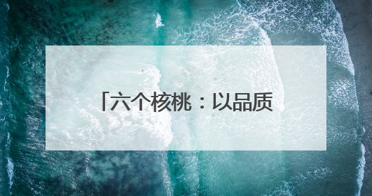 六个核桃：以品质筑基、创新领航的植物蛋白饮品标杆