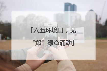 六五环境日，见“郑”绿意涌动