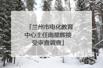 兰州市电化教育中心主任南星辉接受审查调查