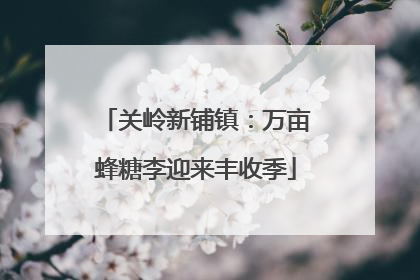 关岭新铺镇：万亩蜂糖李迎来丰收季