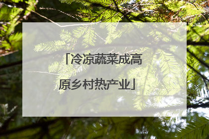 冷凉蔬菜成高原乡村热产业