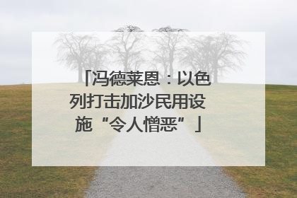 冯德莱恩：以色列打击加沙民用设施“令人憎恶”