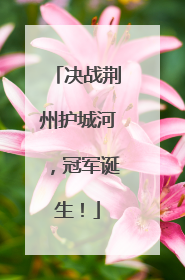 决战荆州护城河,冠军诞生!