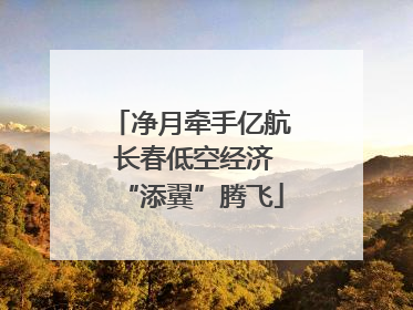 净月牵手亿航 长春低空经济“添翼”腾飞