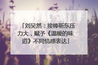 刘昊然：接棒靳东压力大，赋予《温暖的味道》不同情感表达