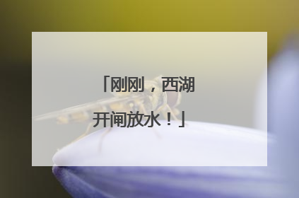 刚刚，西湖开闸放水！