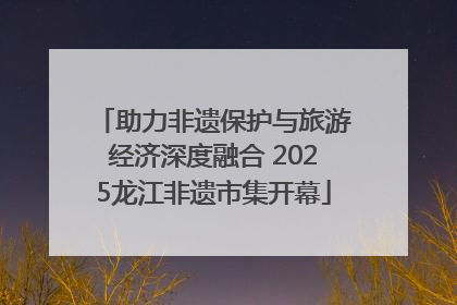 助力非遗保护与旅游经济深度融合 2025龙江非遗市集开幕