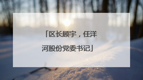 区长顾宇，任洋河股份党委书记