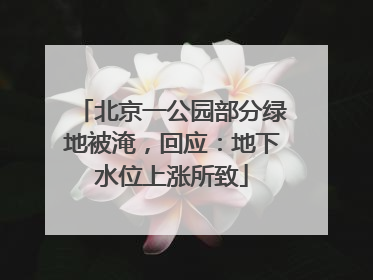 北京一公园部分绿地被淹，回应：地下水位上涨所致