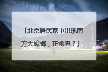 北京居民家中出现南方大蟑螂，正常吗？