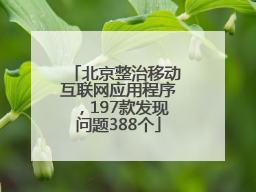 北京整治移动互联网应用程序，197款发现问题388个