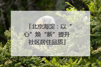 北京海淀：以“心”焕“新”提升社区居住品质