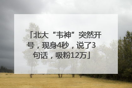 北大“韦神”突然开号，现身4秒，说了3句话，吸粉12万