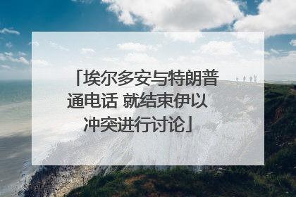 埃尔多安与特朗普通电话 就结束伊以冲突进行讨论