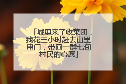 城里来了收菜团，我花三小时赶去山里串门，带回一群七旬村民的心愿