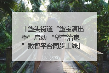 垡头街道“垡宝演出季”启动 “垡宝治家”数智平台同步上线