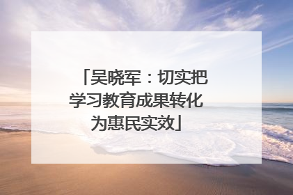 吴晓军：切实把学习教育成果转化为惠民实效