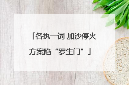 各执一词 加沙停火方案陷“罗生门”