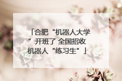 合肥“机器人大学”开班了 全国招收机器人“练习生”