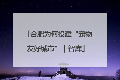 合肥为何投建“宠物友好城市”｜智库