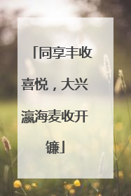 同享丰收喜悦，大兴瀛海麦收开镰