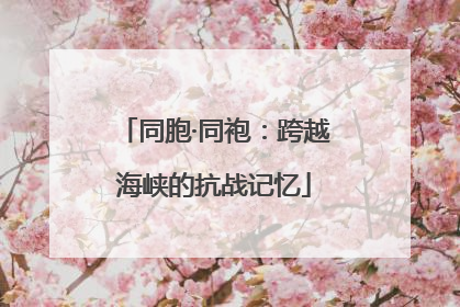 同胞·同袍：跨越海峡的抗战记忆