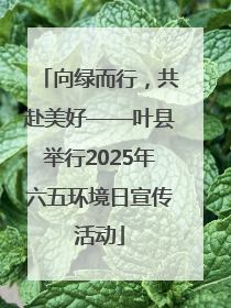 向绿而行，共赴美好——叶县举行2025年六五环境日宣传活动