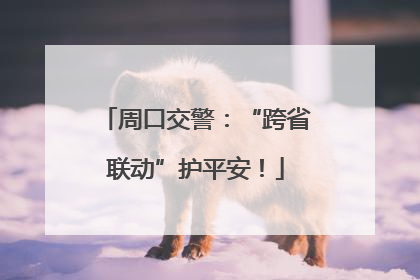 周口交警：“跨省联动”护平安！