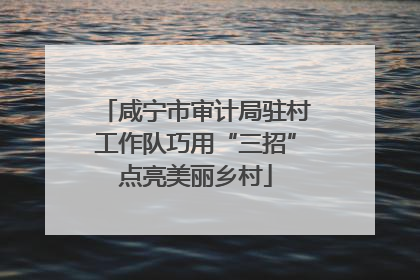 咸宁市审计局驻村工作队巧用“三招”点亮美丽乡村