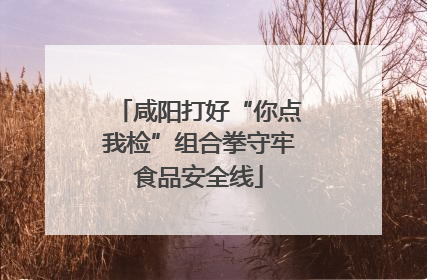咸阳打好“你点我检”组合拳守牢食品安全线