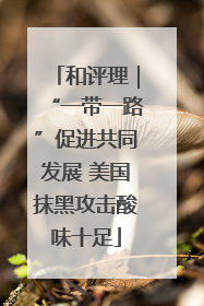 和评理｜“一带一路”促进共同发展 美国抹黑攻击酸味十足
