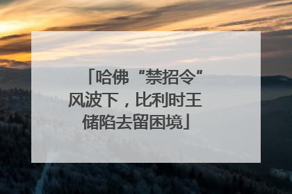 哈佛“禁招令”风波下，比利时王储陷去留困境