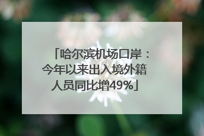 哈尔滨机场口岸：今年以来出入境外籍人员同比增49%