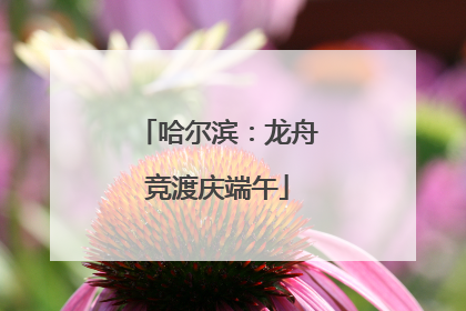 哈尔滨：龙舟竞渡庆端午