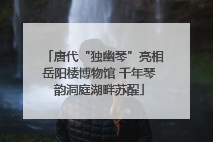 唐代“独幽琴”亮相岳阳楼博物馆 千年琴韵洞庭湖畔苏醒