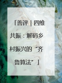 善评｜四维共振：解码乡村振兴的“齐鲁算法”