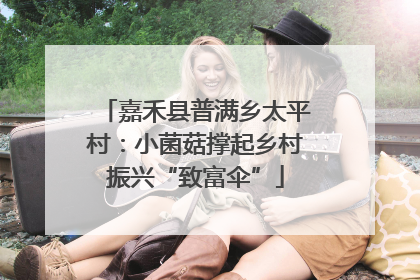 嘉禾县普满乡太平村：小菌菇撑起乡村振兴“致富伞”