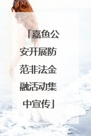 嘉鱼公安开展防范非法金融活动集中宣传