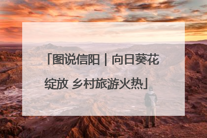 图说信阳｜向日葵花绽放 乡村旅游火热