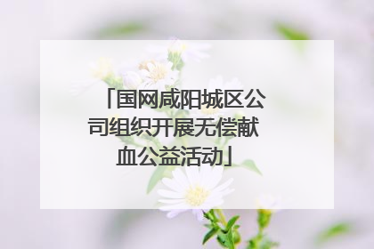 国网咸阳城区公司组织开展无偿献血公益活动