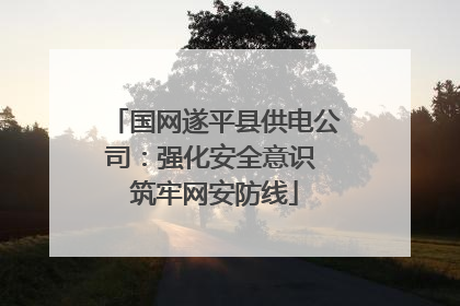 国网遂平县供电公司：强化安全意识 筑牢网安防线