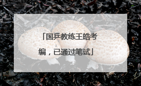 国乒教练王皓考编，已通过笔试
