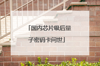 国内芯片级后量子密码卡问世